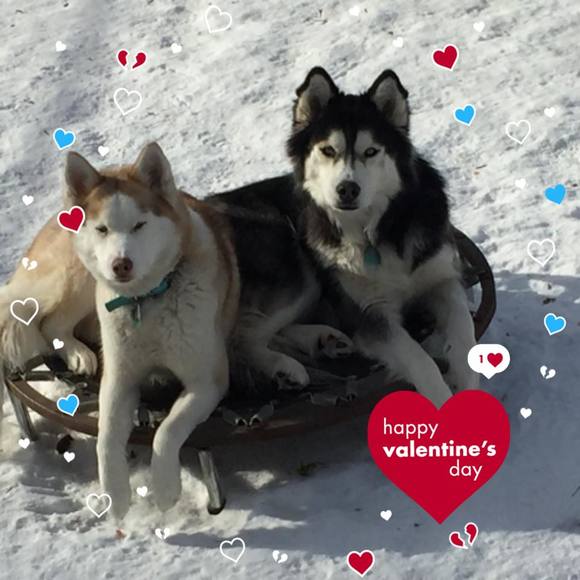 Meet your Posher, Pam - Picture 1 of 1